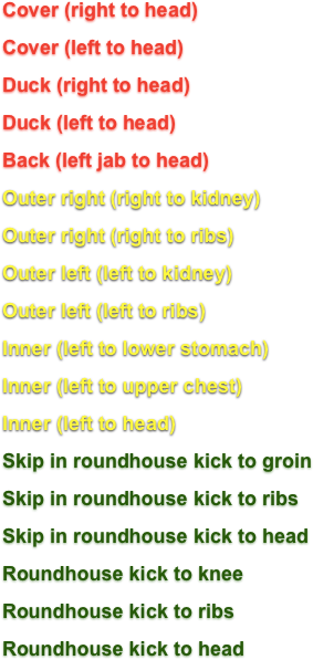Cover (right to head)
Cover (left to head)
Duck (right to head)
Duck (left to head)
Back (left jab to head)
Outer right (right to kidney)
Outer right (right to ribs)
Outer left (left to kidney)
Outer left (left to ribs)
Inner (left to lower stomach)
Inner (left to upper chest)
Inner (left to head)
Skip in roundhouse kick to groin
Skip in roundhouse kick to ribs
Skip in roundhouse kick to head
Roundhouse kick to knee
Roundhouse kick to ribs
Roundhouse kick to head