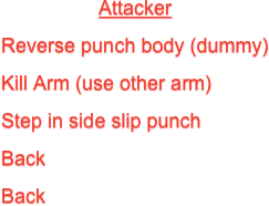 Attacker
Reverse punch body (dummy)
Kill Arm (use other arm)
Step in side slip punch
Back
Back
