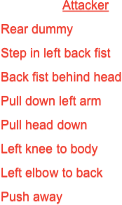 Attacker
Rear dummy
Step in left back fist
Back fist behind head
Pull down left arm
Pull head down
Left knee to body
Left elbow to back
Push away